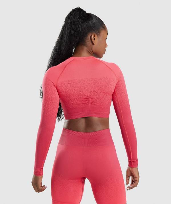 Damske Crop Top Gymshark Adapt Ombre Seamless Long Sleeve Červené Ruzove | TJ9261045